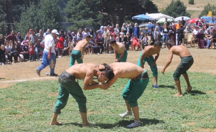 Konuklar Yayla Şenliği