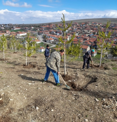 Bayraktepe'de Büyük Boy Fidanlara Bakım – Konuklar Yeşeriyor