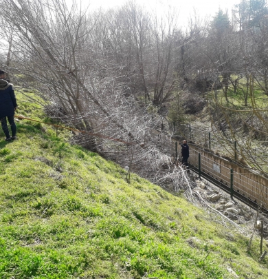 Kanal Çevresinde Büyük Temizlik ve Bakım – Konuklar Daha Yeşil ve Düzenli