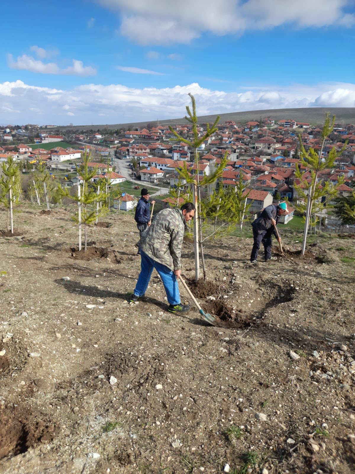 Bayraktepe'de Büyük Boy Fidanlara Bakım – Konuklar Yeşeriyor