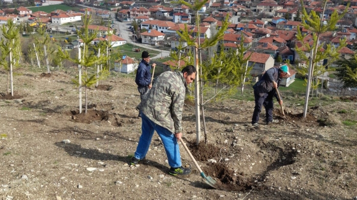 Bayraktepe'de Büyük Boy Fidanlara Bakım – Konuklar Yeşeriyor
